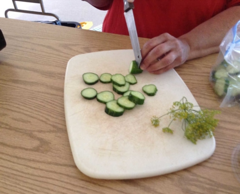 photo - food preservation - slicing cucumbers - hal meng